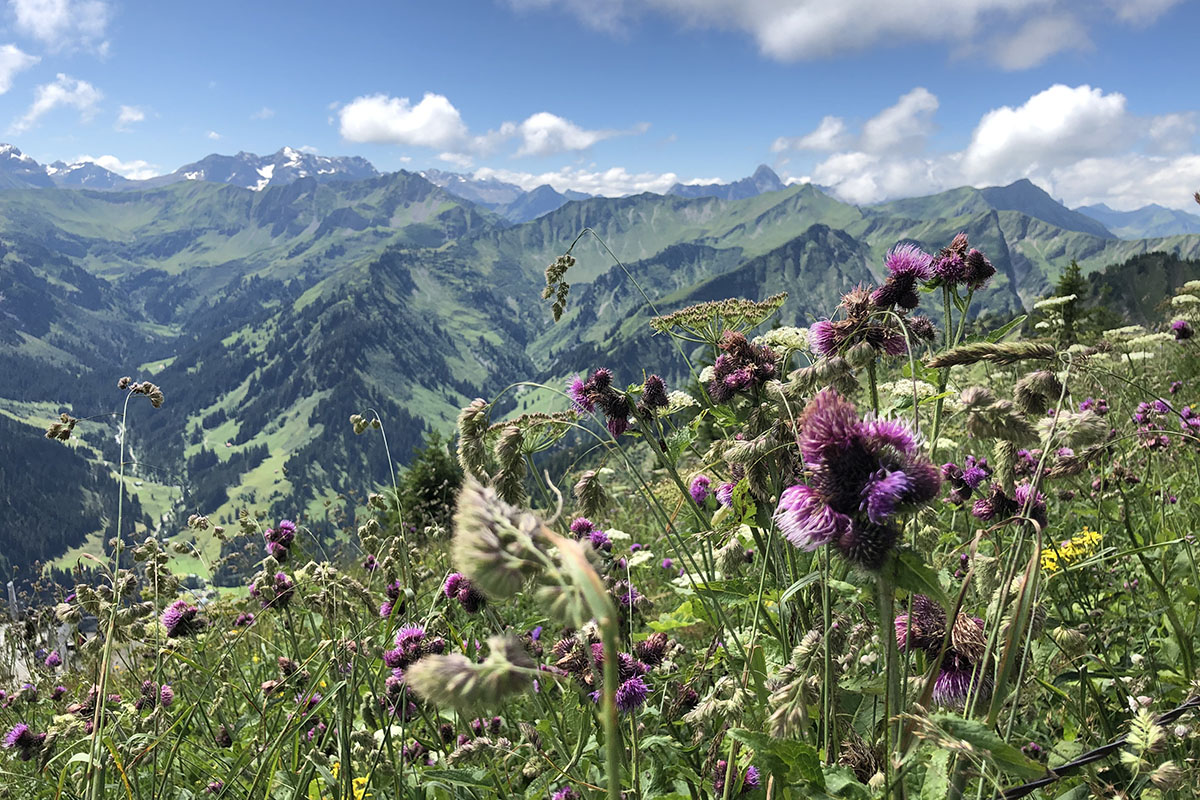 Natur